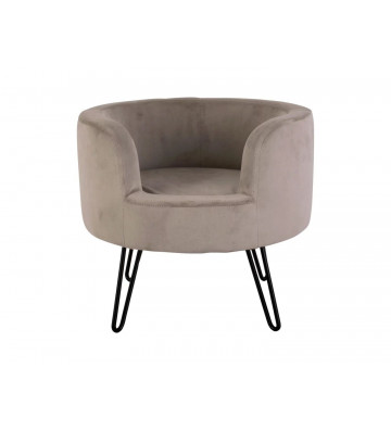 Grey Velvet Small Dog Cushion Sofa - Present Time - Nardini Forniture