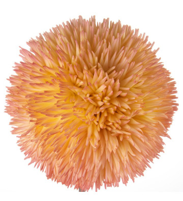 Fiore artificiale modello Allium rosa in polietilene espanso.
Dimensioni: H75cm