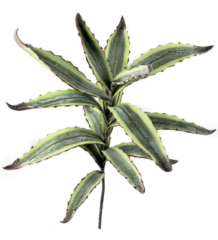 Agave artificiale - POLIETILENE ESPANSO 100h l'oca nera