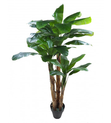 High quality realistic green artificial banana concoral.
Size: h300cm