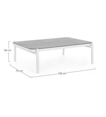 120x75xH36cm Grey Aluminum Outdoor Smoke Table - Nardini Forniture