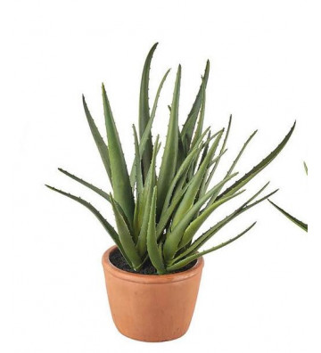 Artificial Aloe plant H50cm - L'oca nera - Nardini Forniture