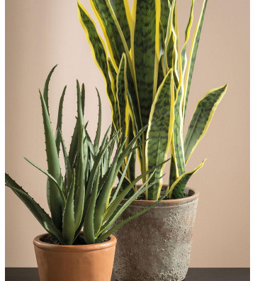 Artificial Aloe plant H50cm