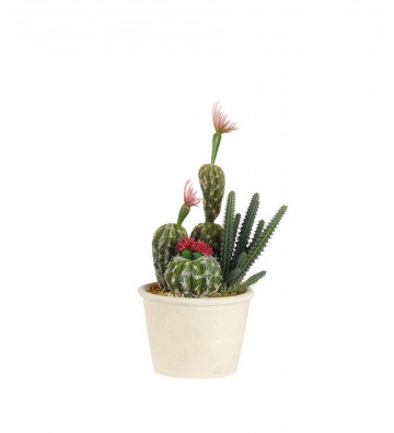 Artificial Cactus in white pot h30cm - L'oca nera - Nardini Forniture
