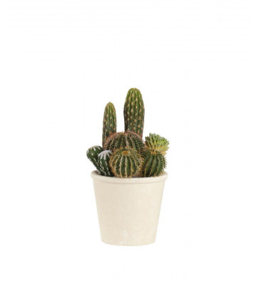Cactus artificial green pot h30cm - L'oca nera - Nardini Forniture