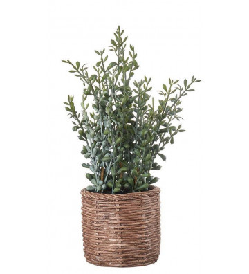 Artificial plant sedum with pot H36cm - L'oca nera - Nardini Forniture