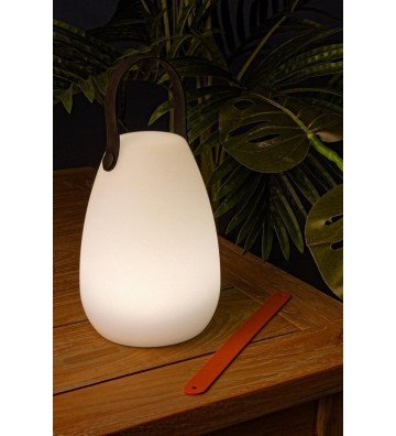 Plastic lamp with coloured led H21cm - Nardini Forniture