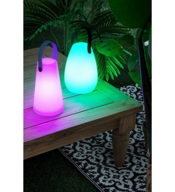 Lampada in plastica con led colorati H21cm - Nardini Forniture
