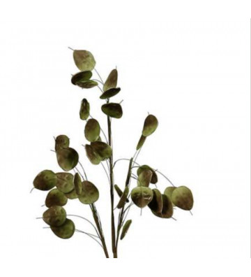Artificial green Beckia fleur branches H105cm