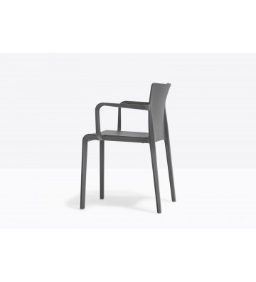copy of Set 2 chairs Venice Tortora by Kartell