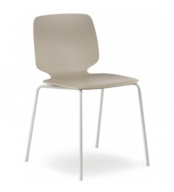 Babila dovera chair in discount by Pedrali - Nardini Forniture