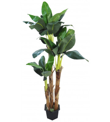 Artificial green banana h250cm - Concoral - Nardini Forniture