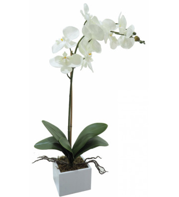 Artificial orchid in pot H60cm - Concoral - Nardini Forniture