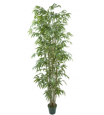 Artificial Bamboo Plant 195x210cm - Concoral - Nardini Forniture