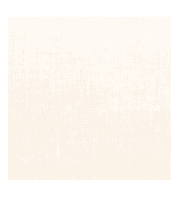 Pure linen napkin 40cm / + colors - Nardini Forniture