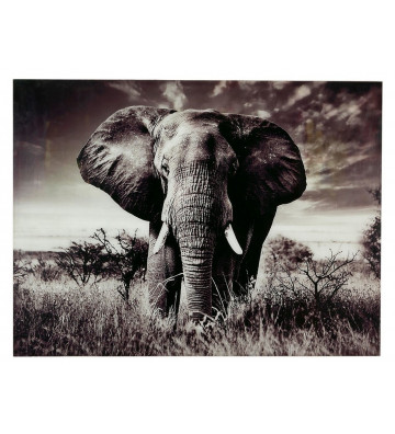 Quadro foto elefante con vetro 120x90cm - Nardini Forniture