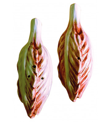 Red chicory salt and pepper set