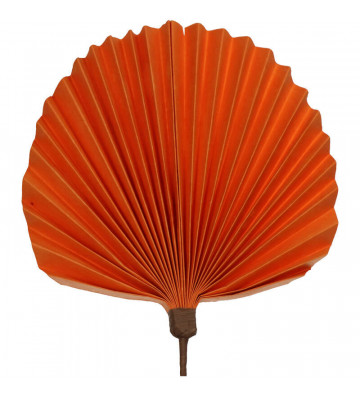 Ramo con foglia ventaglio arancione 55cm - nardini forniture