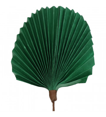 Ramo con foglia ventaglio verde 55cm