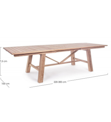 Tavolo da pranzo rettangolare allungabile in Teak 220/300x100cm - nardini forniture