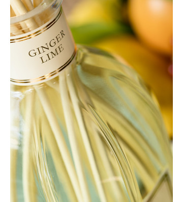 Fragranza per ambienti Ginger Lime by Dr. Vranjes - nardini forniture