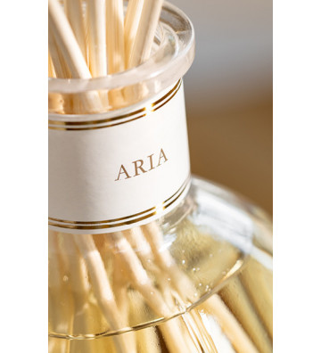 Fragranza per ambienti Aria by Dr. Vranjes - nardini forniture