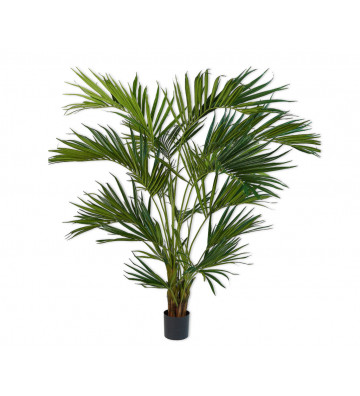 Pianta palma verde H220cm - silkka - nardini forniture