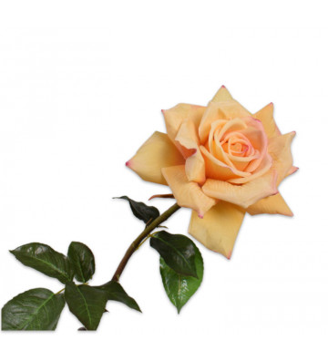 Fiore artificiale Rosa stelo giallo 69cm - silkka - nardini forniture
