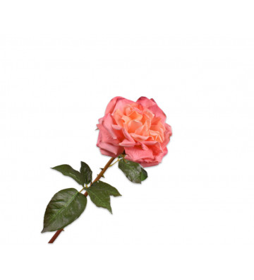 Fiore rosa artificiale color rosa 51cm - silkka - nardini forniture