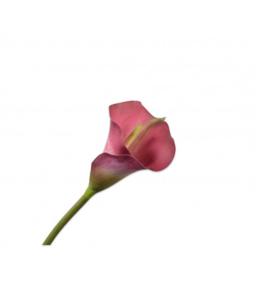 Fiore artificiale calla rosa 77cm - silkka - nardini forniture