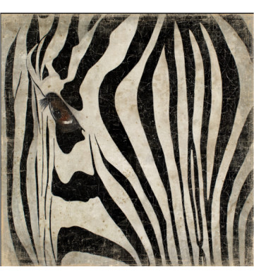 Quadro zebra close up con cornice in metallo nero 120x120cm - nardini forniture