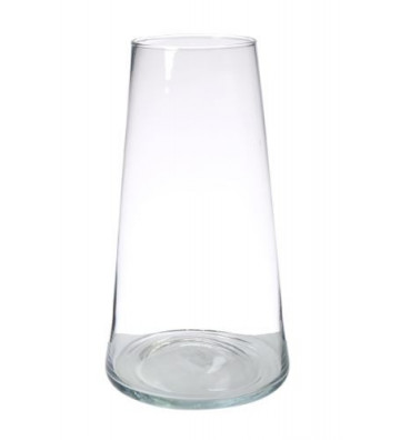 Vaso in vetro trasparente alto H 30 cm - Nardini Forniture