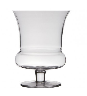 Vaso in vetro trasparente H 24 cm - Nardini Forniture