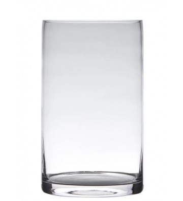 Vaso cilindrico in vetro trasparente H 25 cm - Nardini Forniture