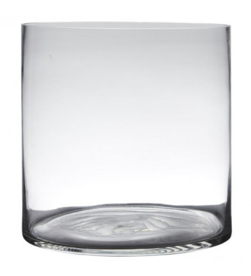 Vaso Cilindro in vetro trasparente H 25 cm - Nardini Forniture