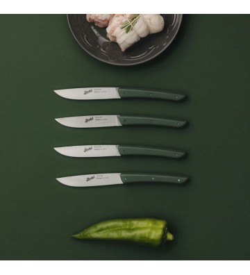 Set 4 coltelli da bistecca verde - Berkel - Nardini Forniture