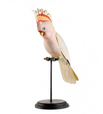 Statuetta decorativa uccello cacatua in legno h34 cm - L'Oca Nera - Nardini Forniture