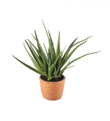 Aloe artificiale H38 cm - L'Oca Nera - Nardini Forniture