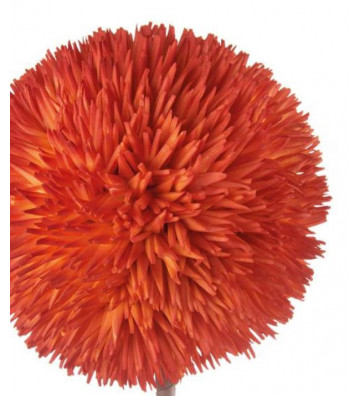 ALLIUM ARANUS ARLIUM FIRE H75CM - LIGHT & LIVING - Nardini Forniture