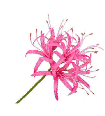 Artificial flower Black fuchsia 90cm - Silkka - Nardini Forniture