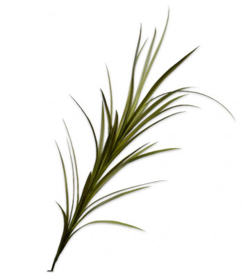 Artificial grass green bush 150cm - Silkka - Nardini Forniture