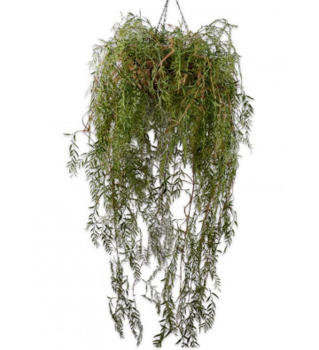 Green escaping artificial plant 150cm - Silkka - Nardini Forniture