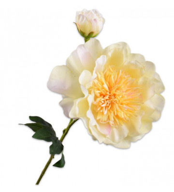 Artificial flower of Peonia cream 79cm - Silkka - Nardini Forniture