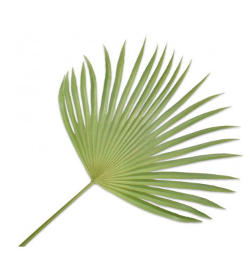 Green artificial palm leaves 107cm - Silkka - Nardini Forniture