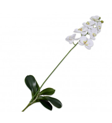 Fiore artificiale di Phalaenopsis bianco 91cm - Silkka - Nardini Forniture