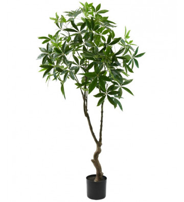 Artificial plant Pachira green 180cm - Silkka - Nardini Forniture
