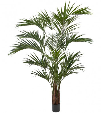 Pianta artificiale palma verde 250cm - Silkka - Nardini Forniture