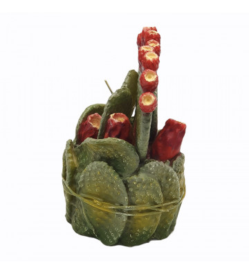 Candela a forma di composizione foglie grandi cactus h 20cm - nardini forniture
