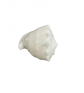 Candle shaped white shell 15cm - nardini supplies