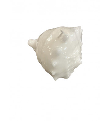 Candela a forma di conchiglia corsa bianca 15cm - nardini forniture